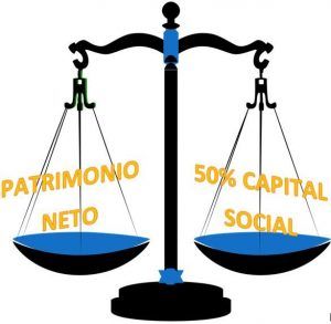 patrimonio neto y capital social